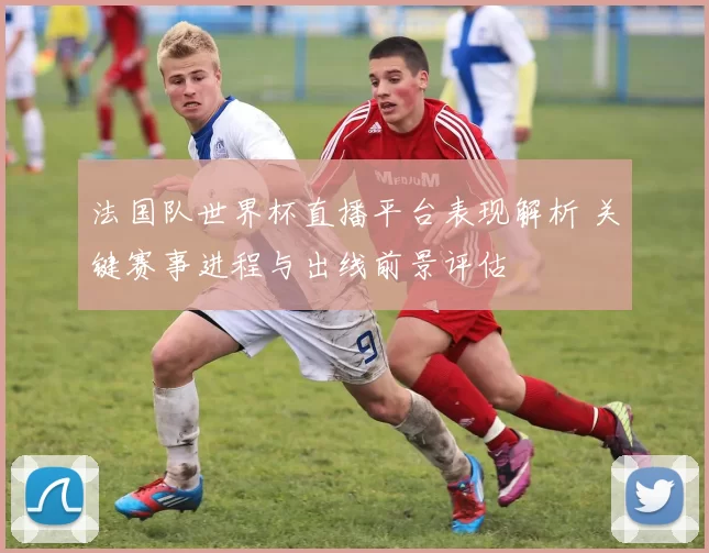 法国队世界杯直播平台表现解析 关键赛事进程与出线前景评估