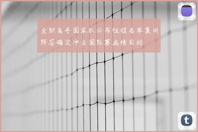 全职高手国家队公布征程名单集训阵容确定冲击国际赛成绩目标