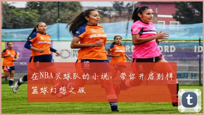 在NBA买球队的小说，带你开启别样篮球幻想之旅