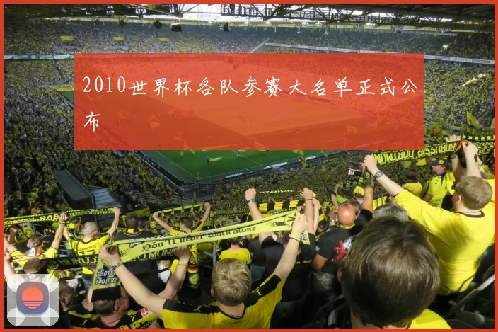 2010世界杯各队参赛大名单正式公布